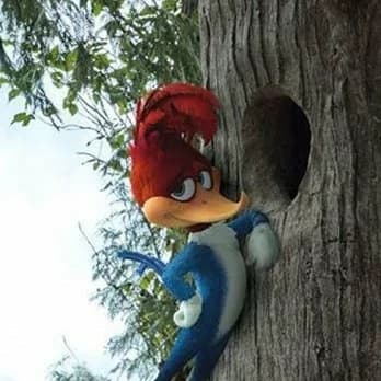 Thumbnail of Woody woodpecker