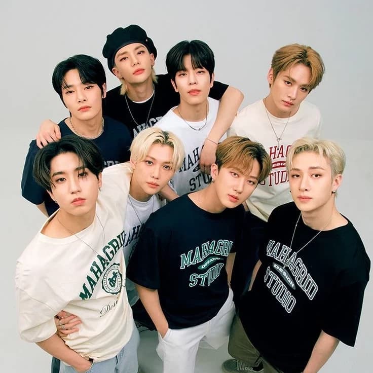 Thumbnail of Stray kids
