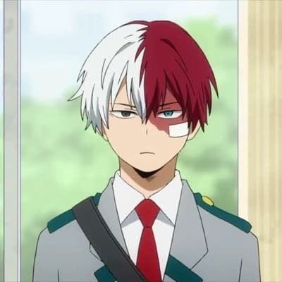 Thumbnail of Todoroki