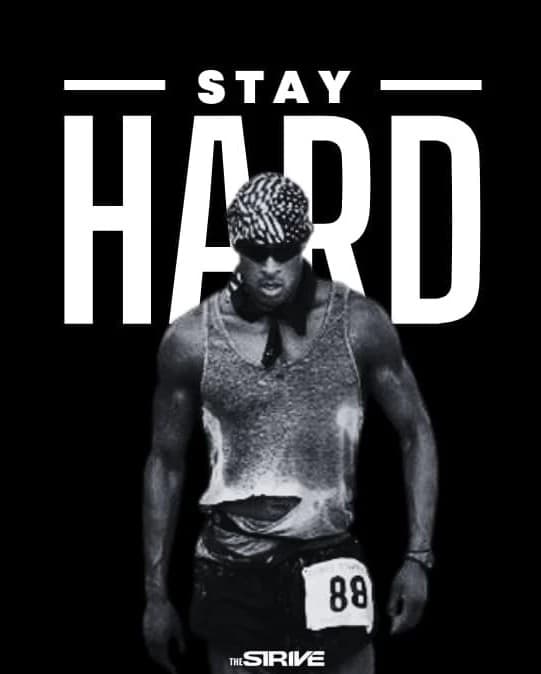 Thumbnail of Stay Hard - David Goggins