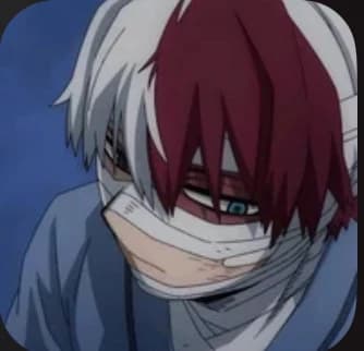 Thumbnail of Shoto todoroki 