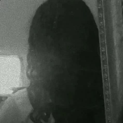 Thumbnail of Julia
