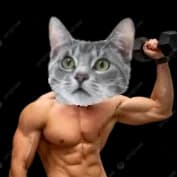 Thumbnail of Micho