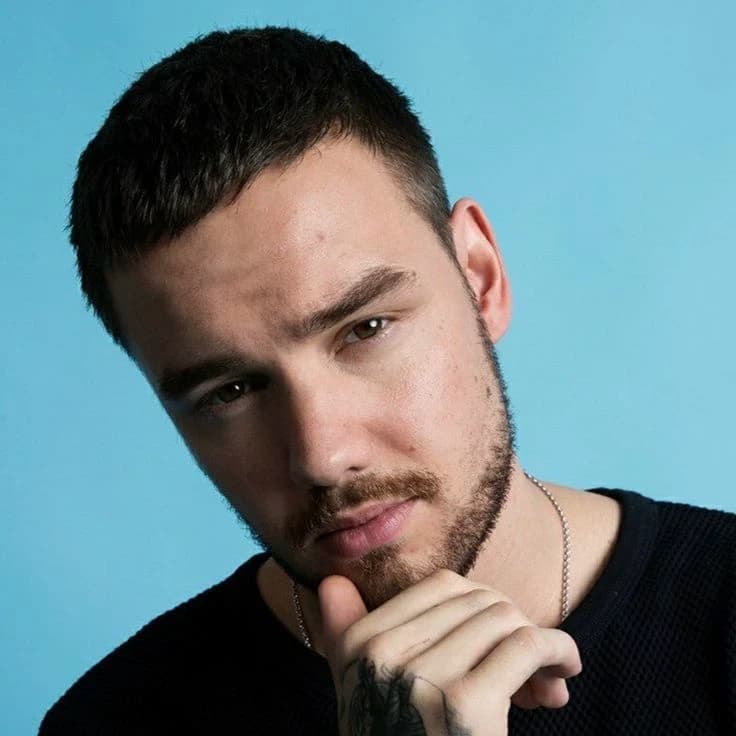 Thumbnail of Liam payne