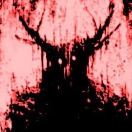 Thumbnail of The secret of the forest