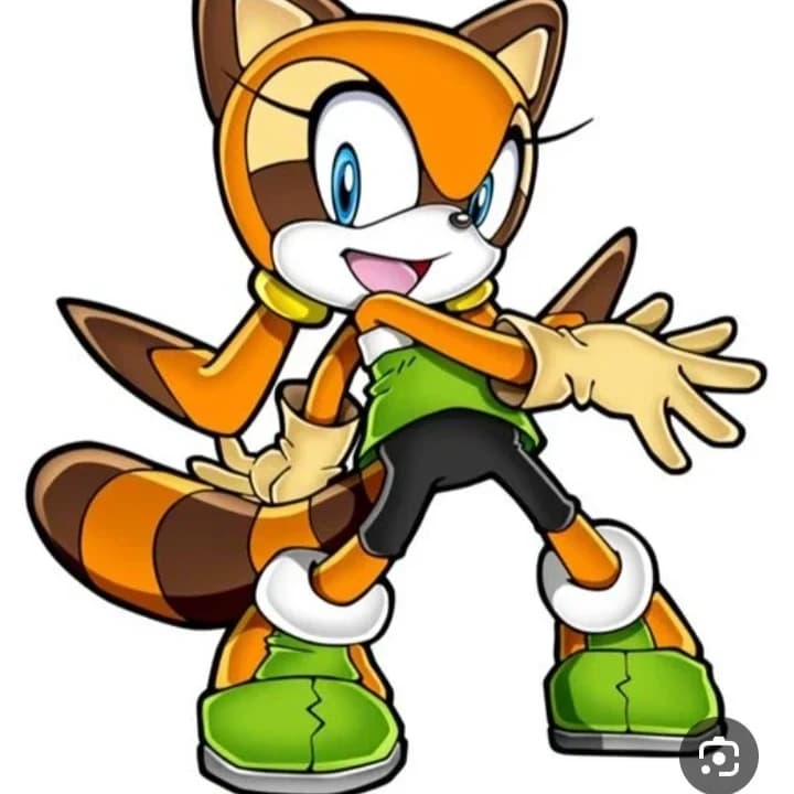 Thumbnail of MARINE THE RACCOON