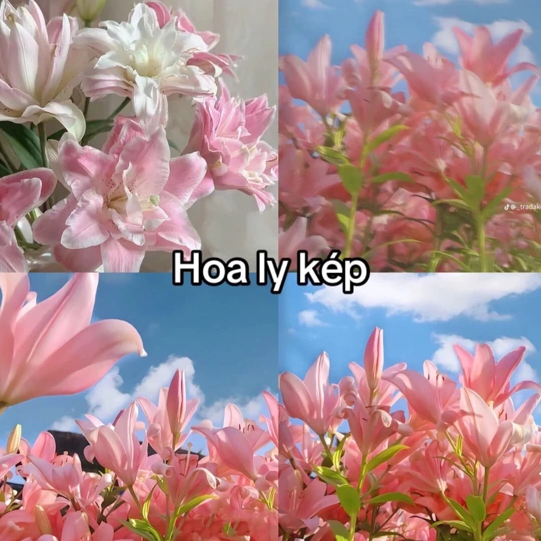 Thumbnail of Эйми