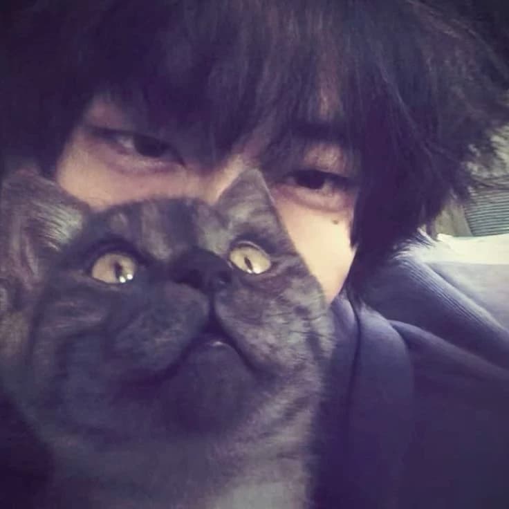 Thumbnail of kai