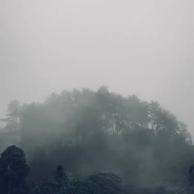 Thumbnail of A supernatural world