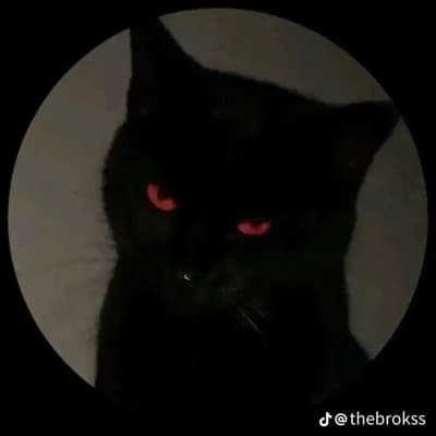 Thumbnail of Пип "Сквик" Уиллоуби