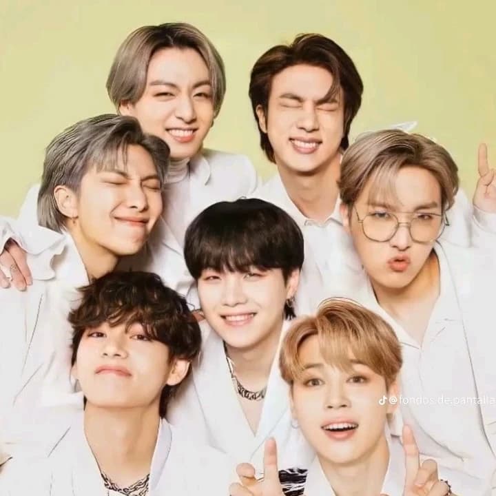 Thumbnail of BTS (Friends since before birth)