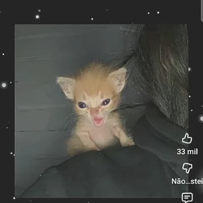 Thumbnail of Мария\_луиза