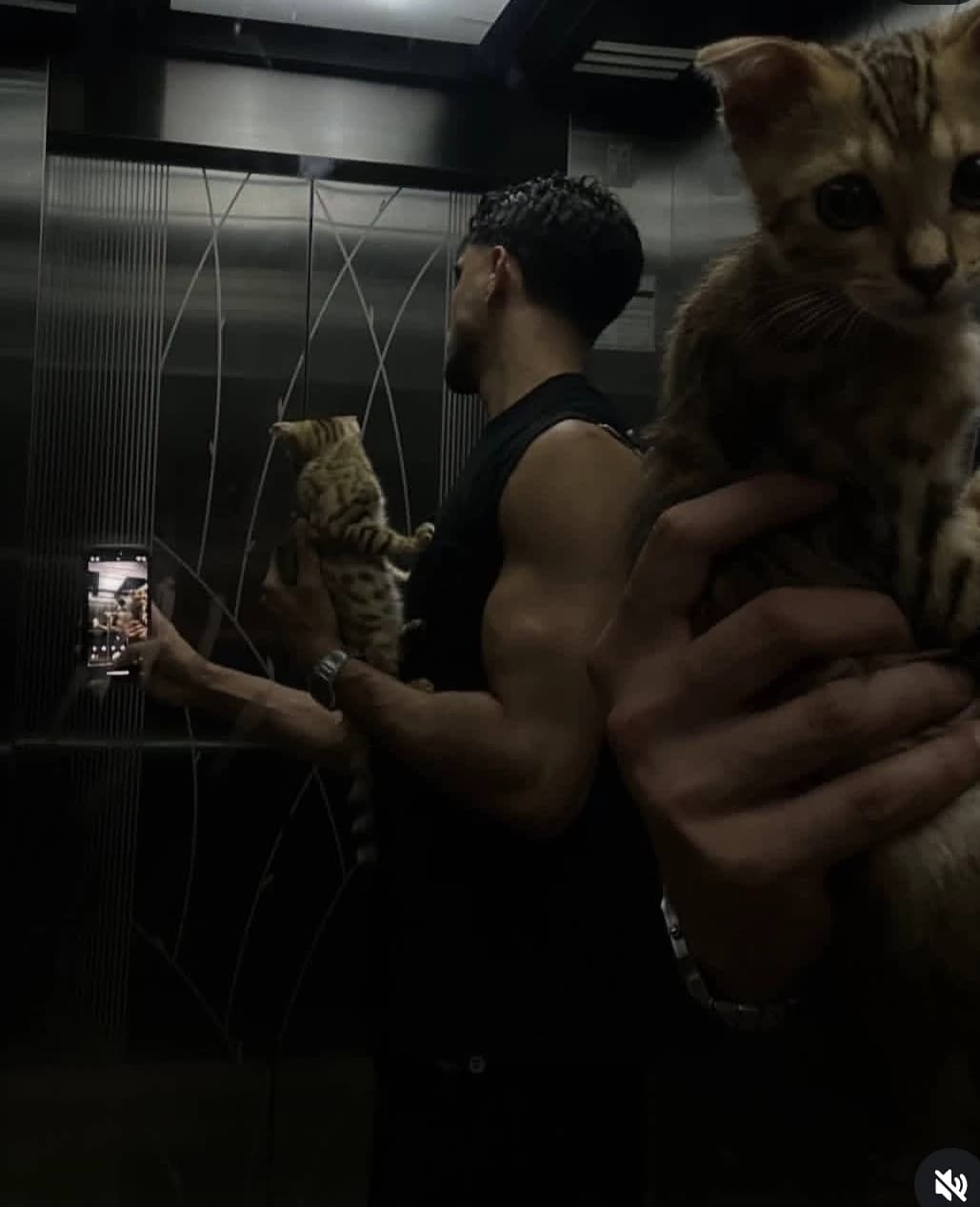 Thumbnail of Каэль Донован