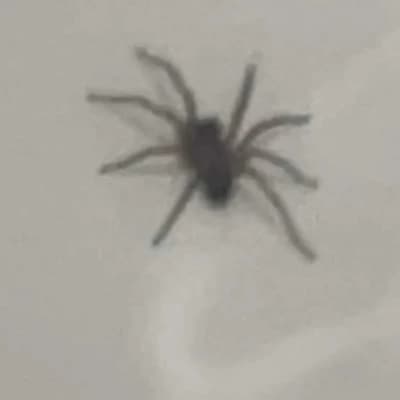 Thumbnail of Jsosbdlsbdld sobekctjdb