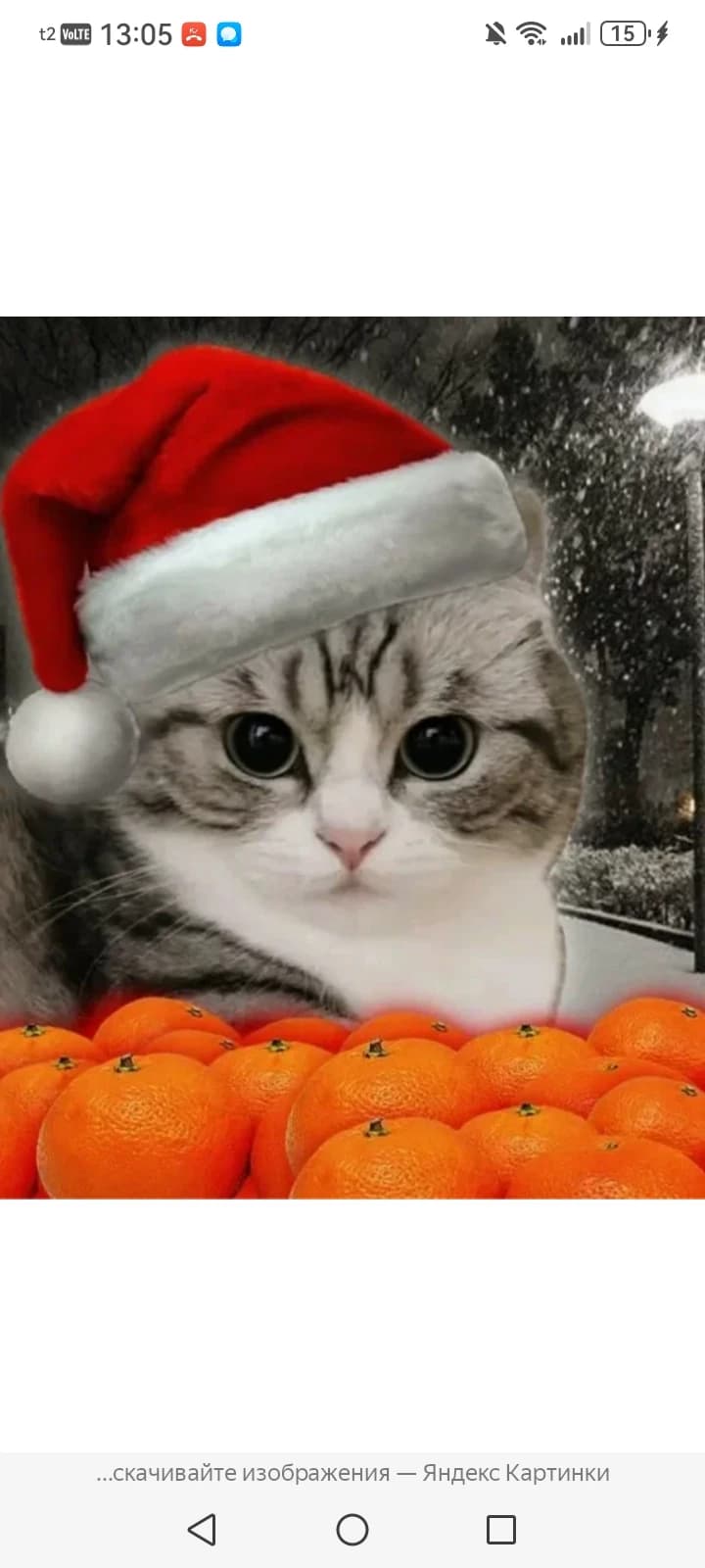 Thumbnail of Новогодний котик