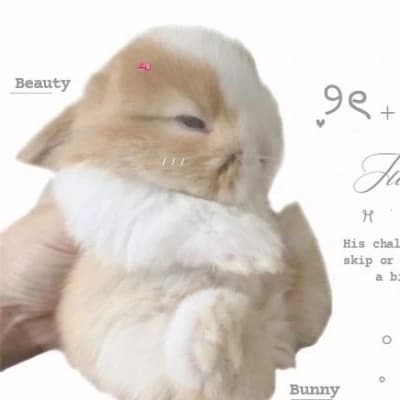 Thumbnail of Хорошо-хорошо