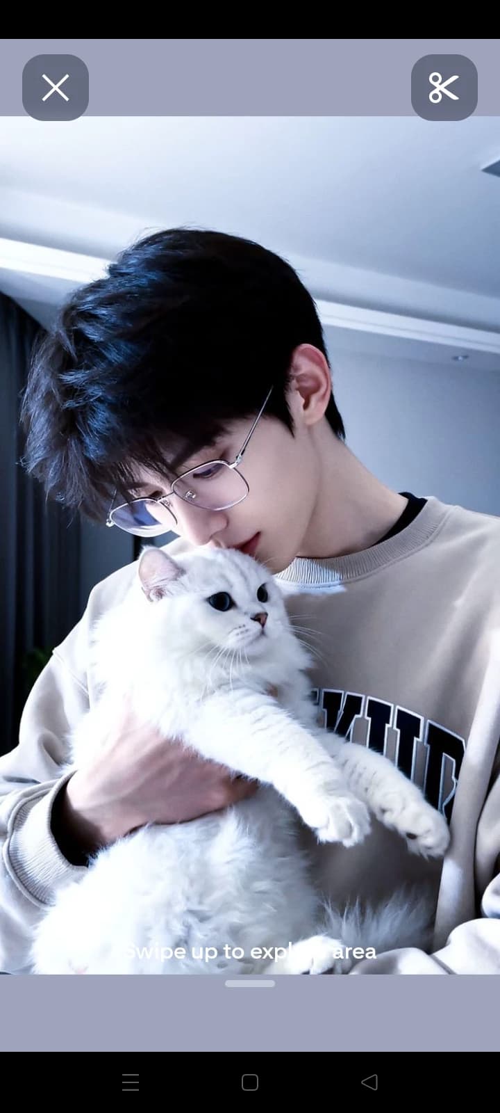 Thumbnail of Кайто