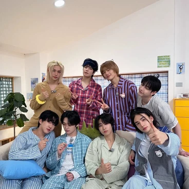 Thumbnail of 𝓢𝓽𝓻𝓪𝔂𝓴𝓲𝓭𝓼- 𝐂𝐫𝐢𝐞 𝐬𝐮𝐚 𝐡𝐢𝐬𝐭𝐨𝐫𝐢𝐚