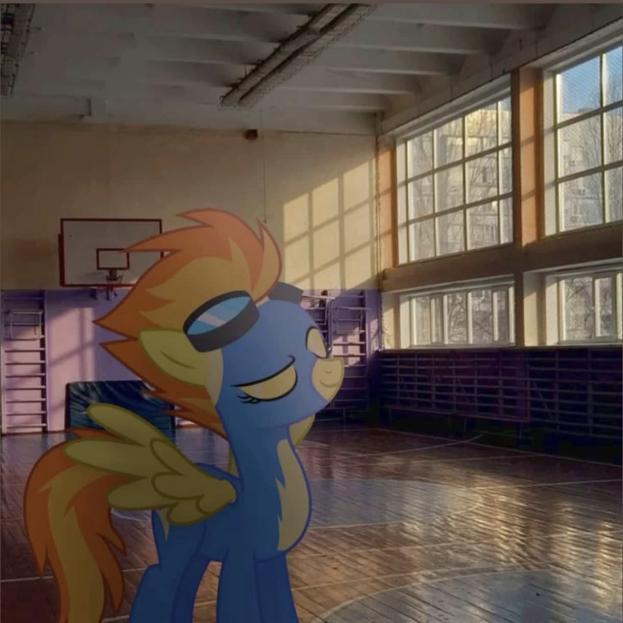 Thumbnail of Spitfire - In the

gym