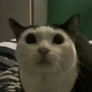 Thumbnail of Буханка Кота