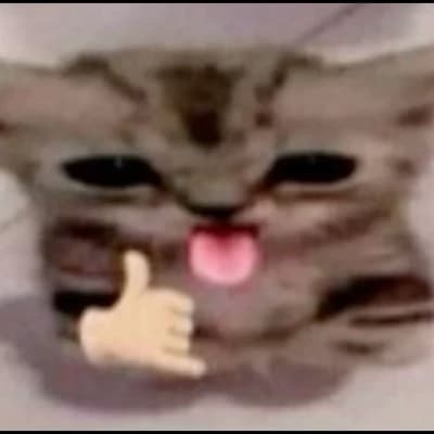 Thumbnail of Ben bir kediyim ve sana el sallıyorum👋🐱