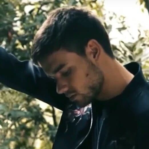 Thumbnail of Лиам Джеймс Пейн