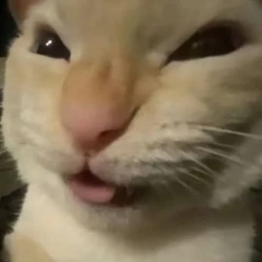 Thumbnail of НЕЖНЫЙ КОТЁНОК>:3