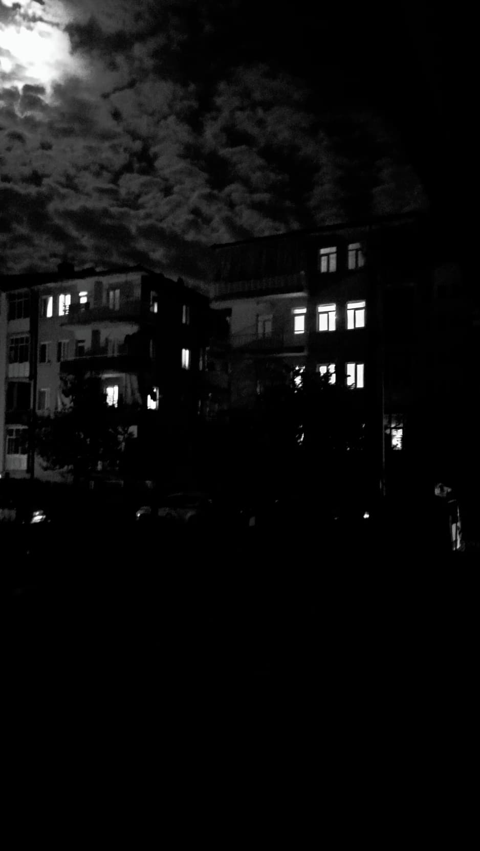 Thumbnail of Cod-sır