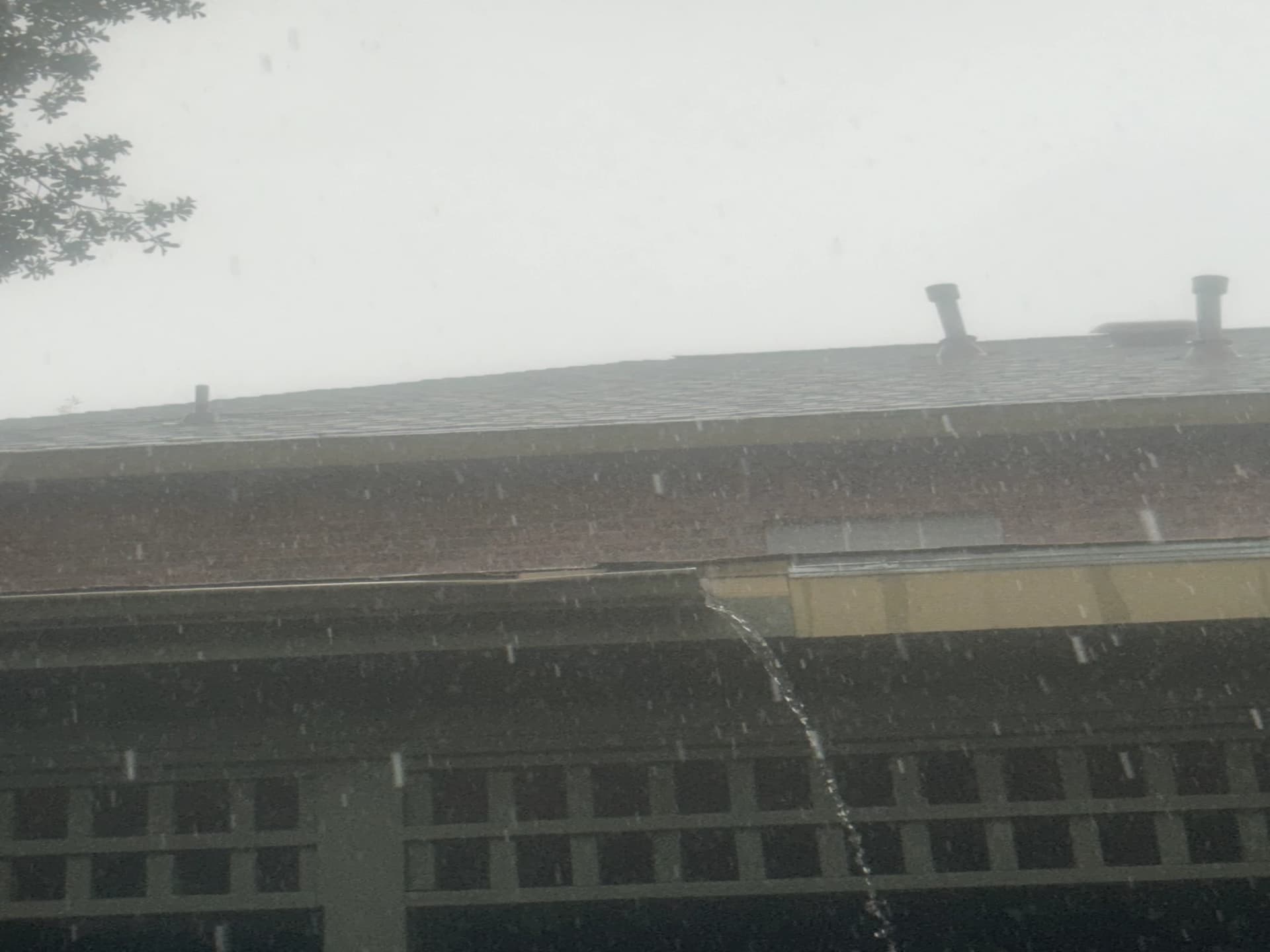 Thumbnail of Пктз