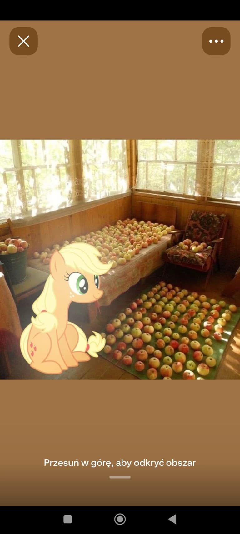 Thumbnail of A bountiful harvest from AppleJack 🍏🍎 orchard