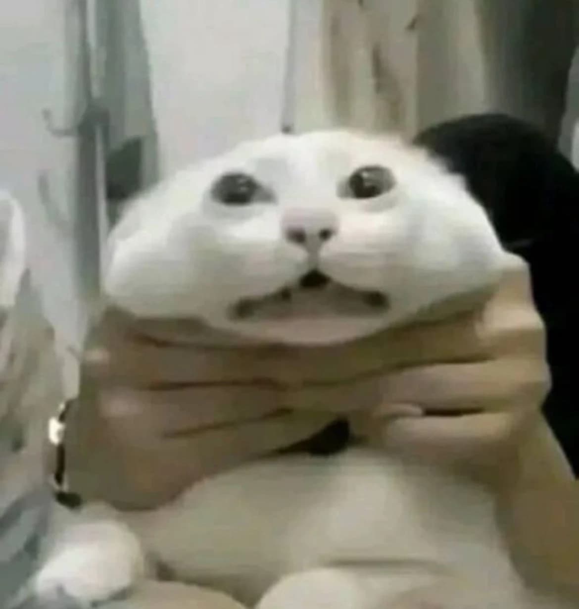 Thumbnail of киска