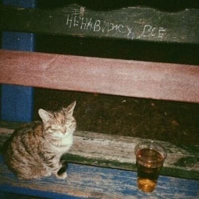 Thumbnail of Кошачий ветер