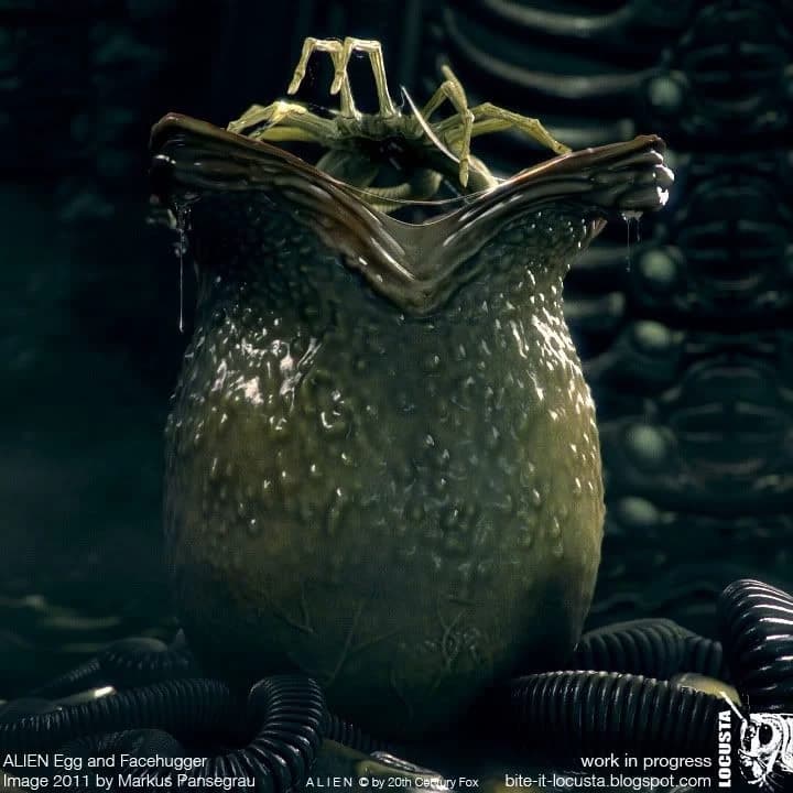 Thumbnail of Face hugger