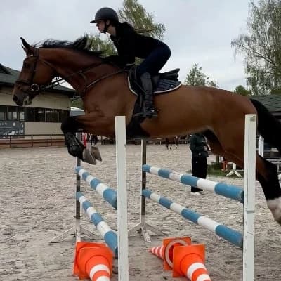 Thumbnail of You have been riding horses for 16 years