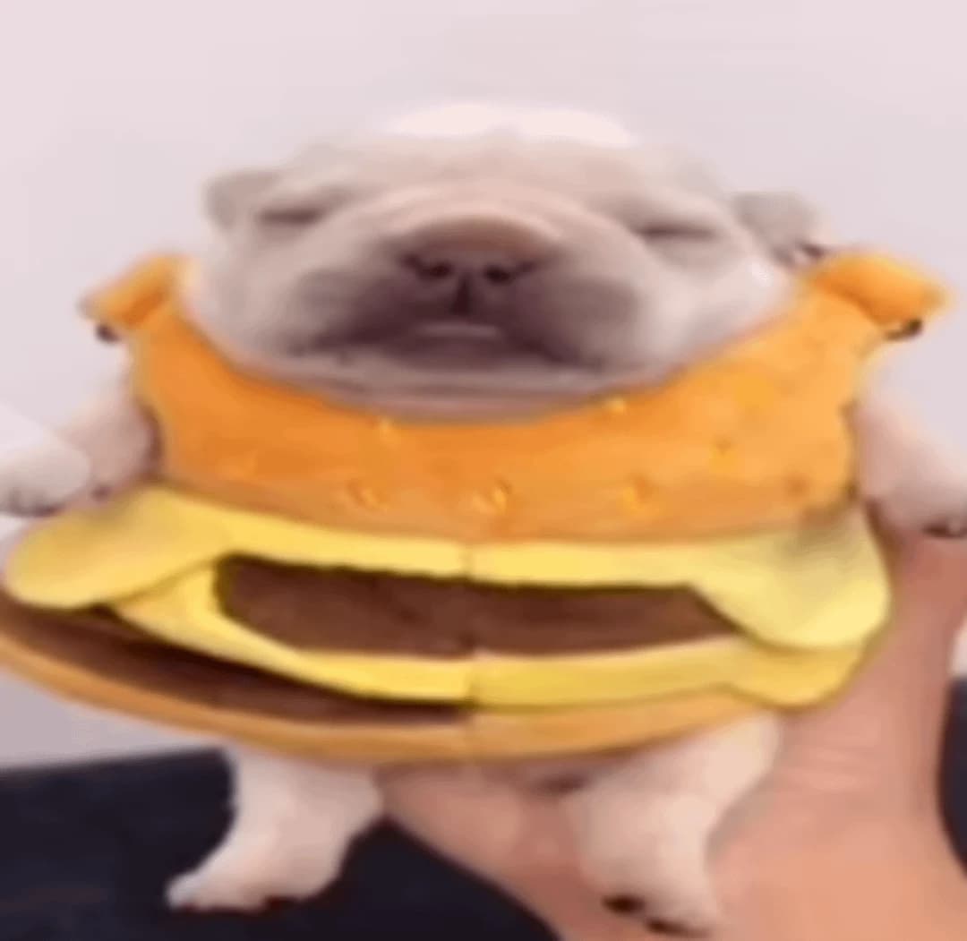 Thumbnail of pibble