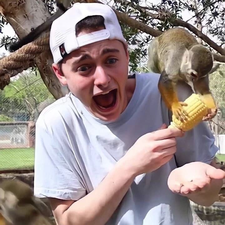 Thumbnail of Ной Шнапп