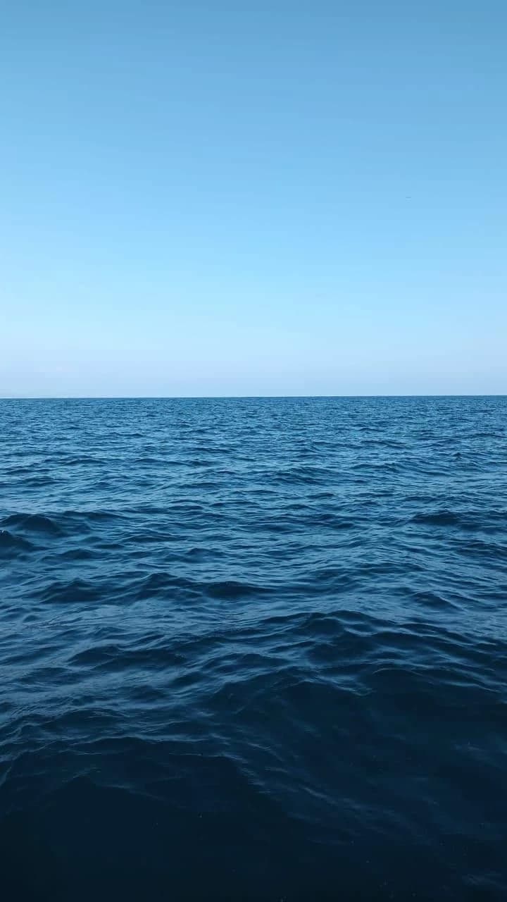 Thumbnail of You're lost at sea