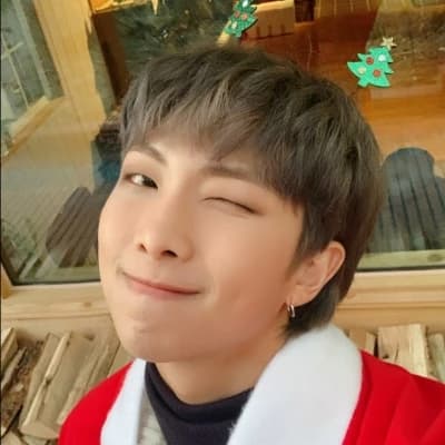 Thumbnail of Namjoon (RM of BTS)