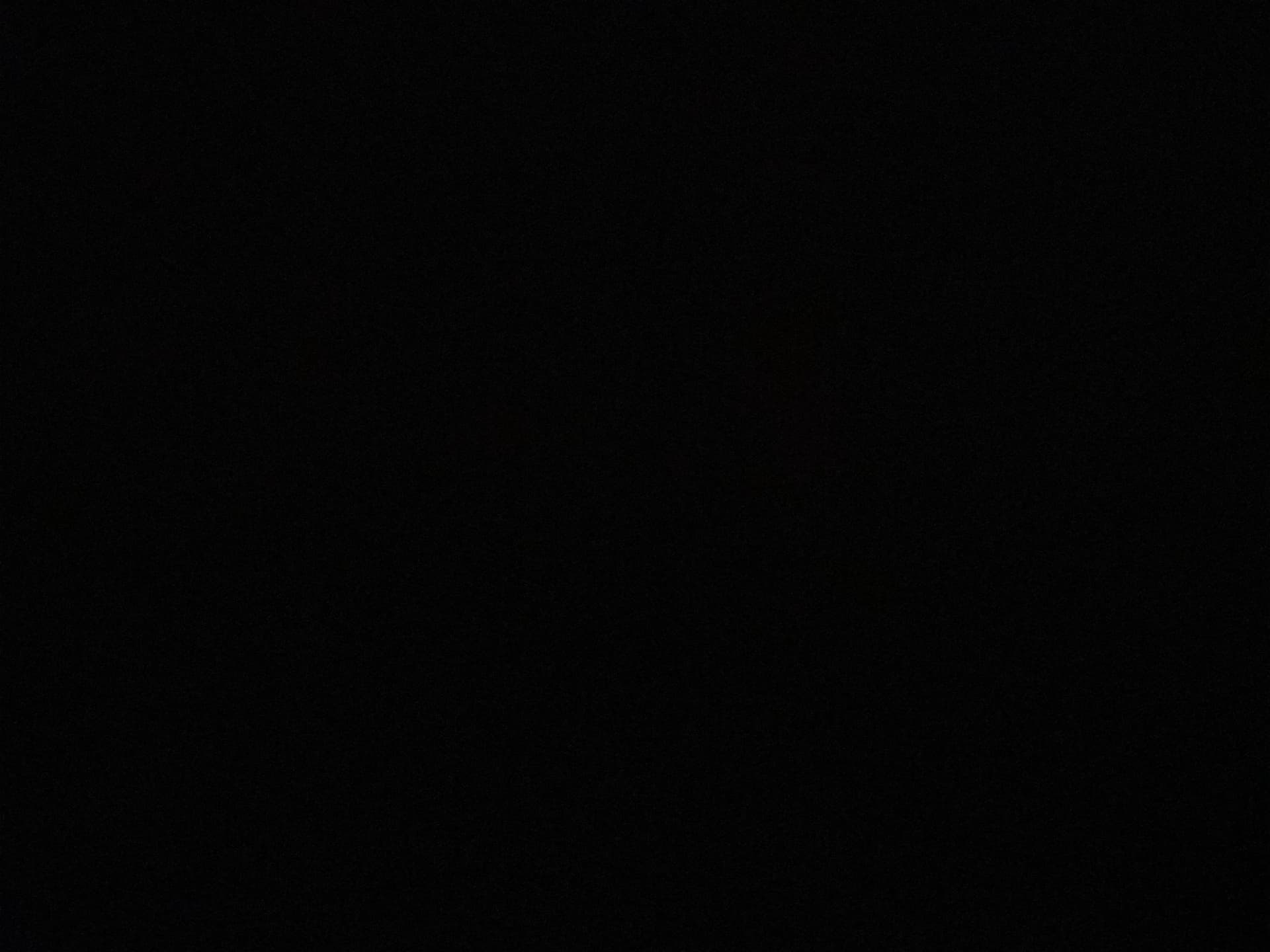 Thumbnail of Салли Фейс