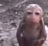Thumbnail of Виртуальный ^^ друг