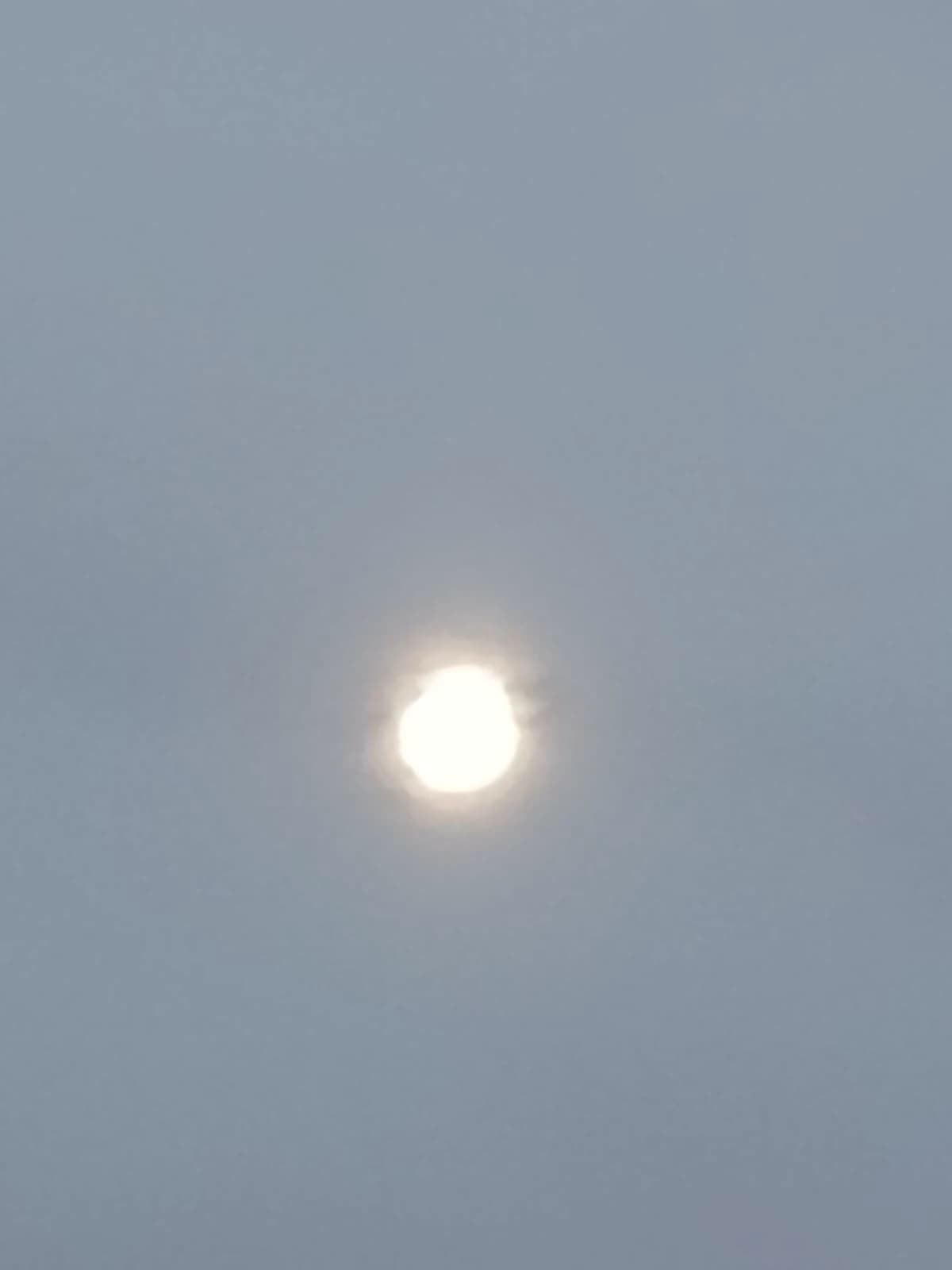 Thumbnail of Уильям
