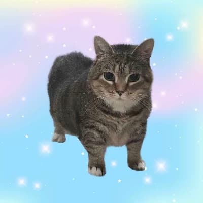 Thumbnail of Этель (Кошка Иия)
