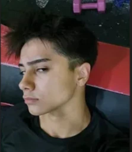 Thumbnail of EFE