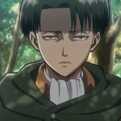 Thumbnail of Levi Ackerman