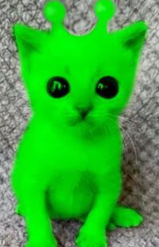 Thumbnail of 👽Мичи-фу👽
