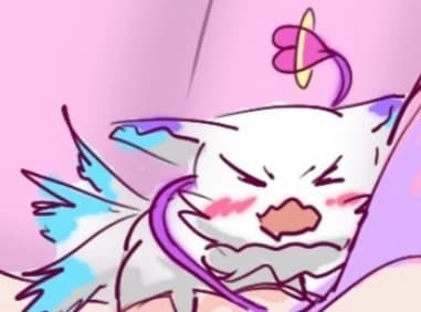 Thumbnail of アライグマ