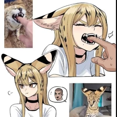 Thumbnail of Luna|girlfriend half wild cat