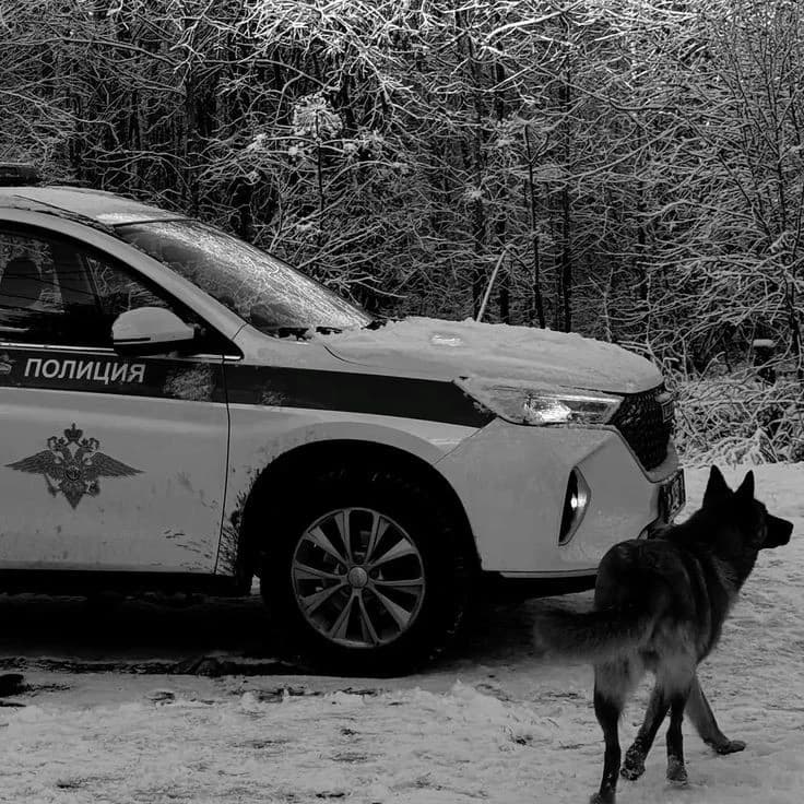 Thumbnail of Эдриан