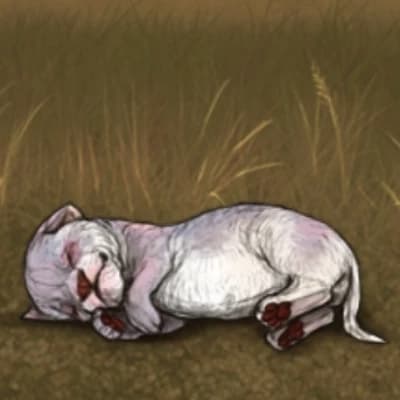Thumbnail of You Are An Albino Dwarf Lion Cub