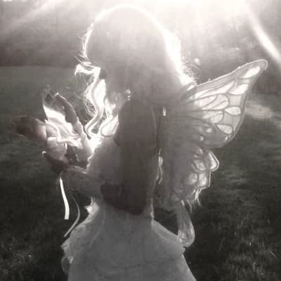 Thumbnail of 🌿 "The last fairy of the elven forest." 🌿